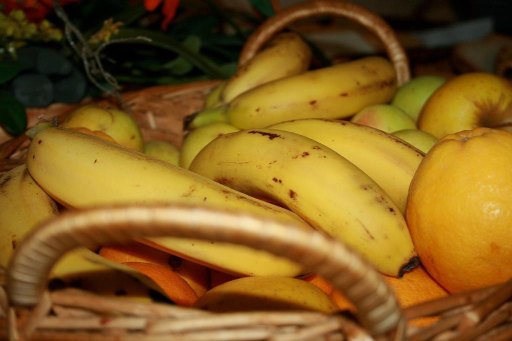 El Pinche De Oro Hotel Benicarlo Ngoại thất bức ảnh