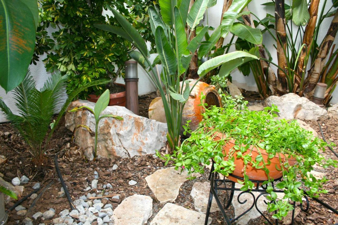 El Pinche De Oro Hotel Benicarlo Ngoại thất bức ảnh